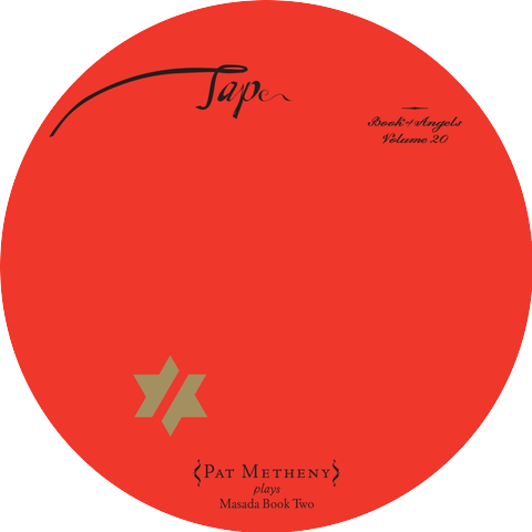 John Zorn and Pat Metheny