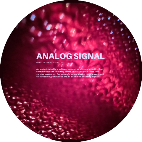 ANALOG 02