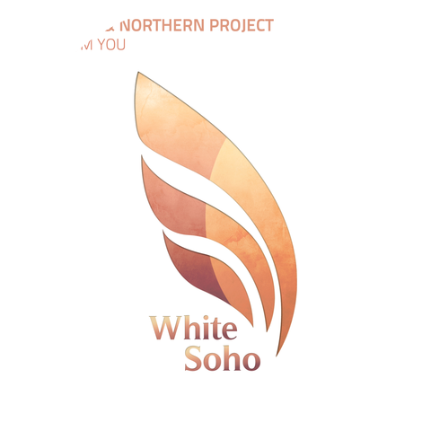 Bram VanK & Northern Project