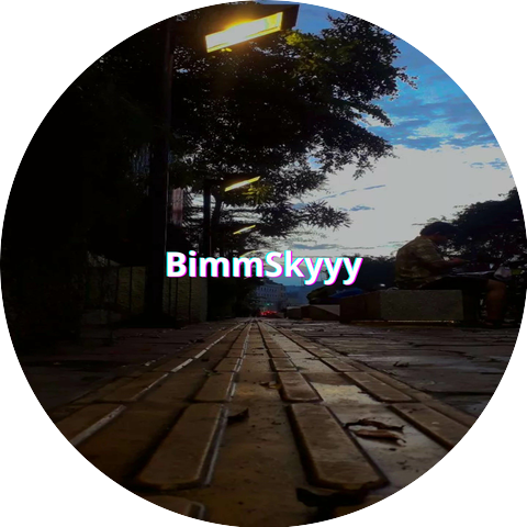 BimmSkyyy