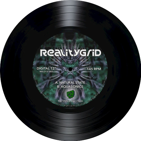 RealityGrid