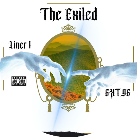Liner 1