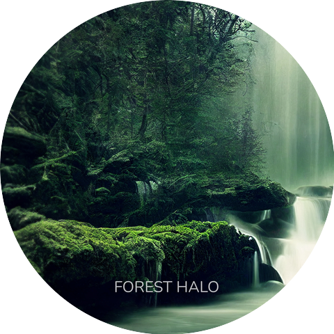 Forest Halo