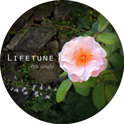 Lifetune