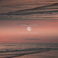 Aural Veneer