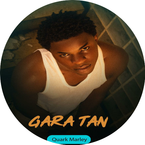 Quark marley