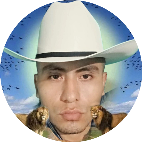 Pablo Bélico