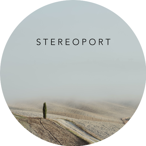 Stereoport