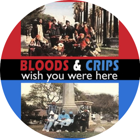 Bloods & Crips