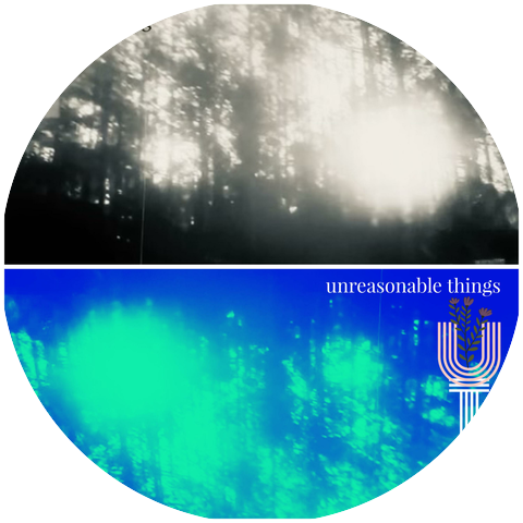 Unreasonable Things