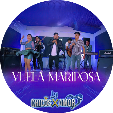 Los Chicos X Amor,