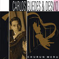 Carlos Guedes & Desvio
