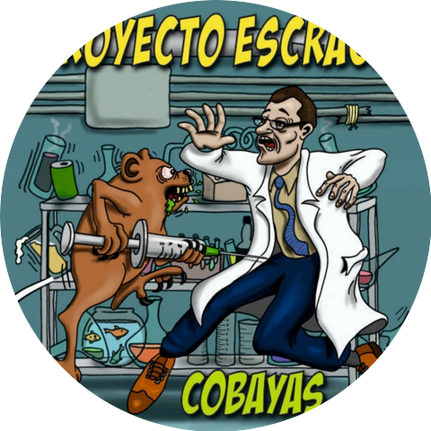 Proyecto ESCRACHE