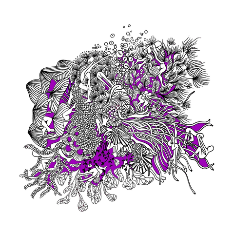 LpLpo