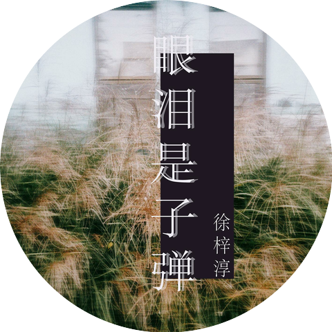 Zichun Xu
