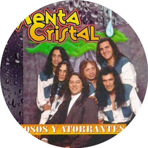 Menta Cristal