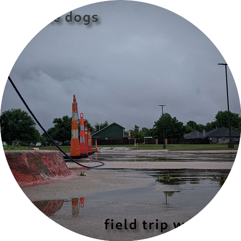 particle dogs
