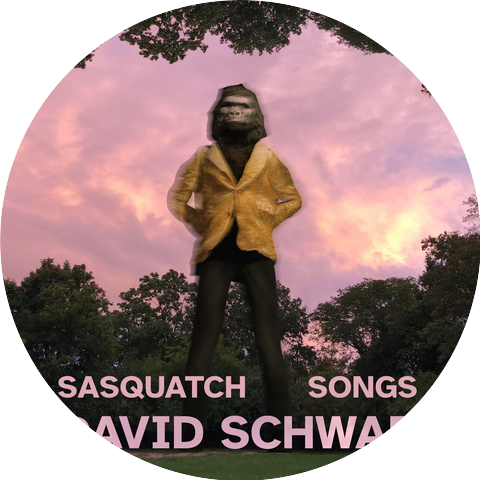 David Schwab