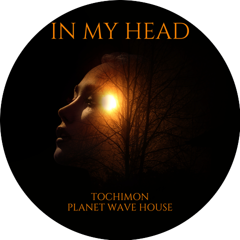 TOCHIMON