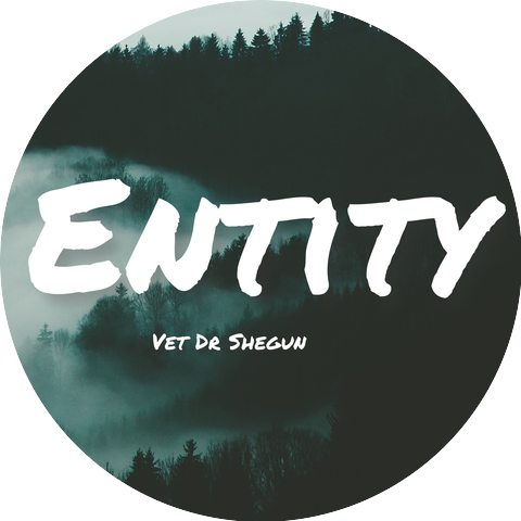 Vet dr shegun