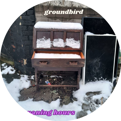Groundbird