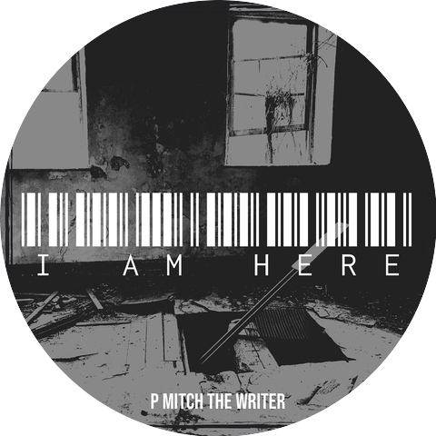 P Mitch the Writer