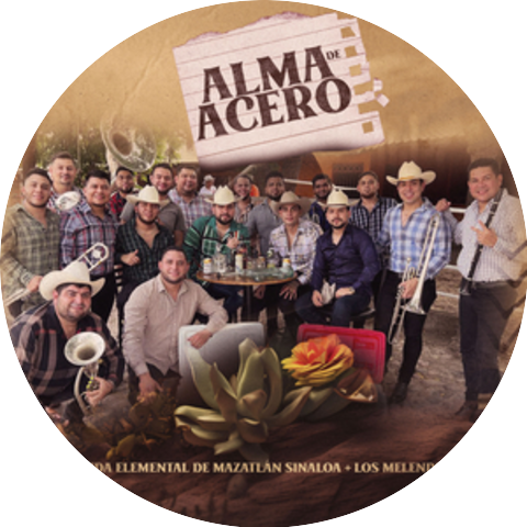 Banda Elemental de Mazatlán Sinaloa & Los Melendres