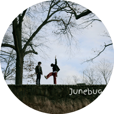 Architect's Daughter