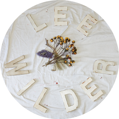 Lee Wilder