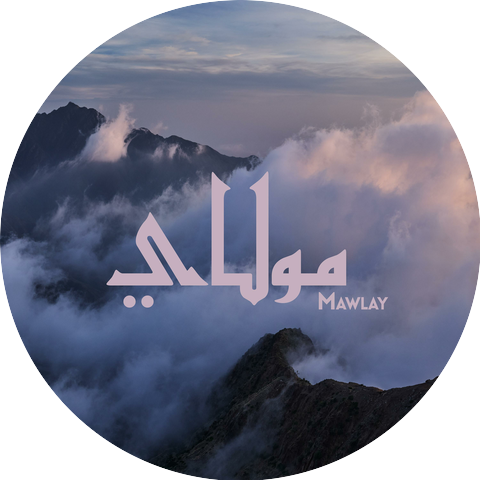 Waleed Shah x Habiba Nabih