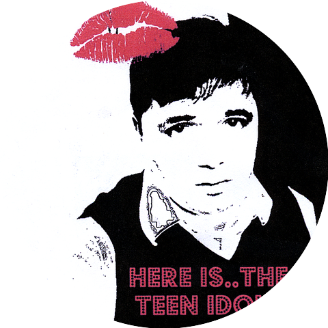 The Teen Idol!!