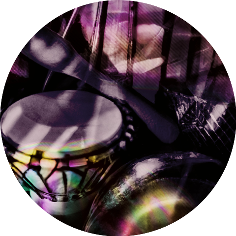 Tropic Velvet Shadows