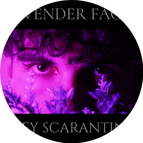 Joey Scarantino