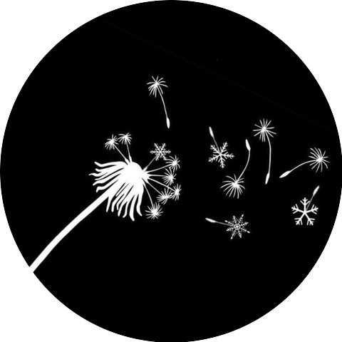 January Dandelion