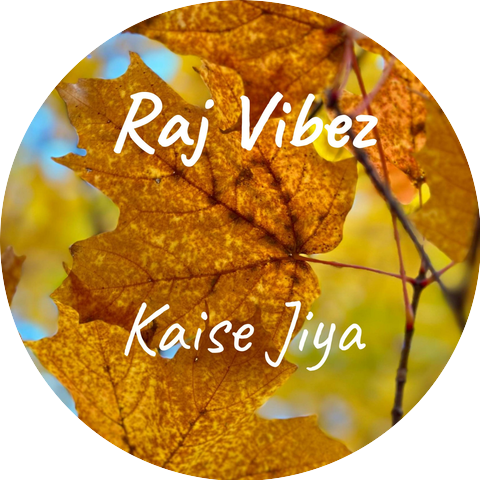Raj Vibez