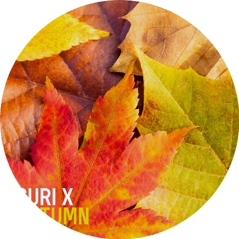 Suri X