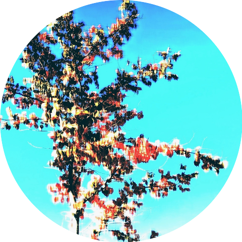 sky.47