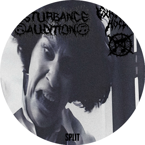 Disturbance Audition