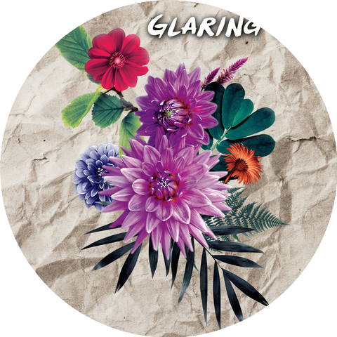 Glaring Eve