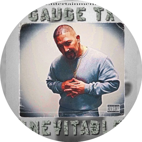 GaugeTx