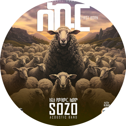 SOZO Acoustic Band