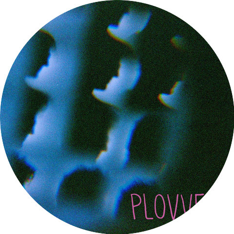 Plovver