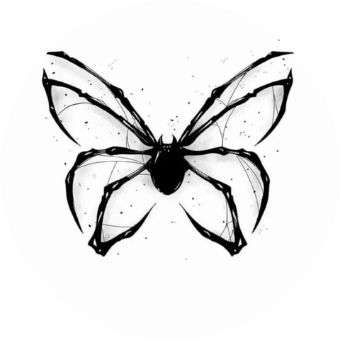 Nova7