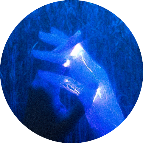 Saraphina Echoes