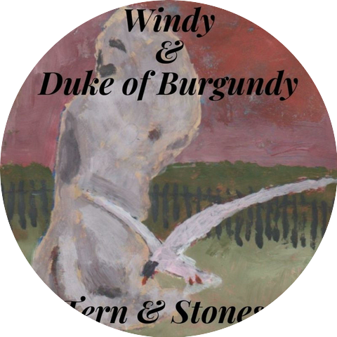 Windy & Duke of Burgundy