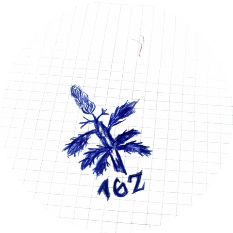 XXCZ