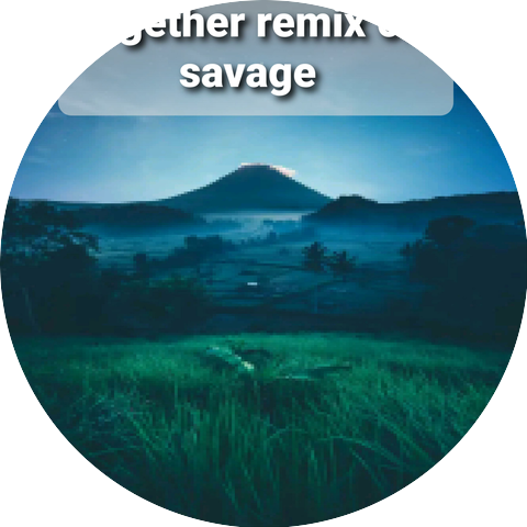 02 savage