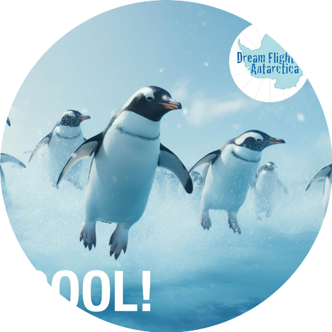 Dream Flight to Antarctica