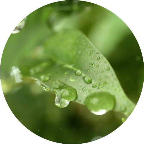 Harald Plontke & Joanne Sander