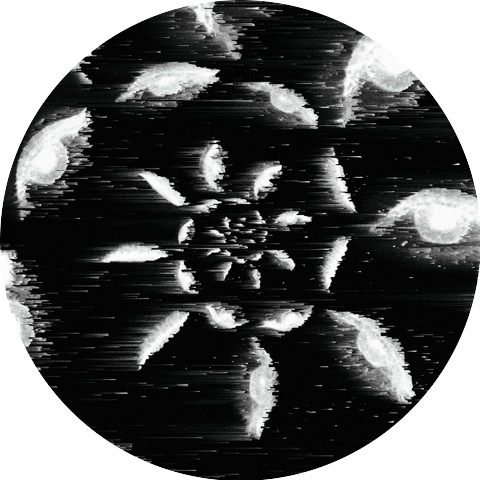 Sk444